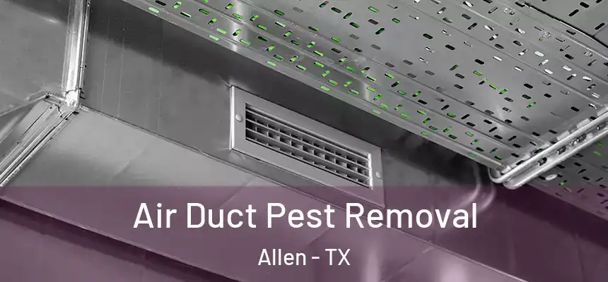 Air Duct Pest Removal Allen - TX