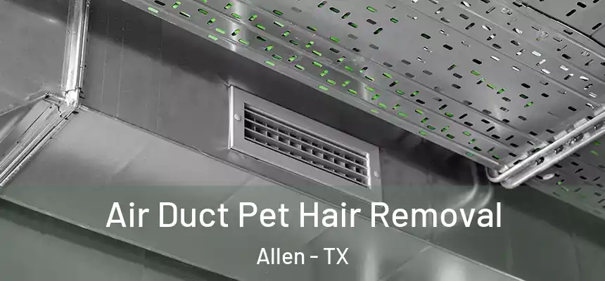 Air Duct Pet Hair Removal Allen - TX
