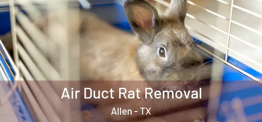 Air Duct Rat Removal Allen - TX