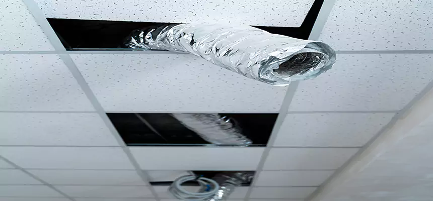 Our Air Duct Pet Hair Removal Services in Allen, TX