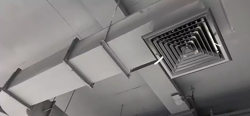 Restorative Allergy Relief Vent Cleaning – Coil, Blower & Housing Detail in Allen