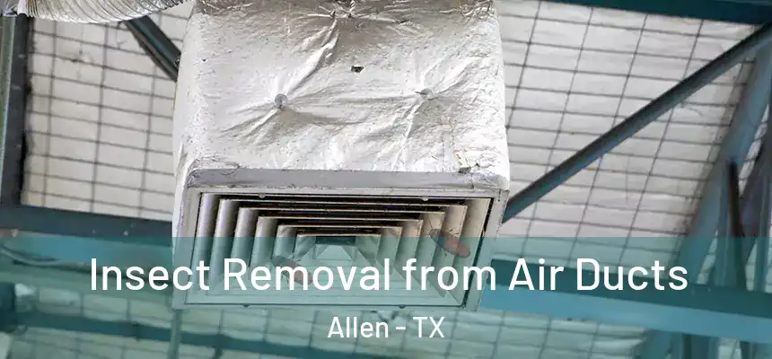 Insect Removal from Air Ducts Allen - TX