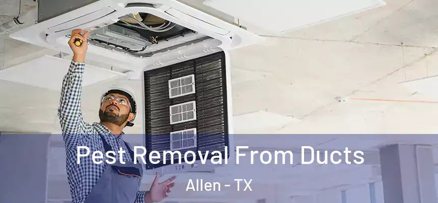 Pest Removal From Ducts Allen - TX