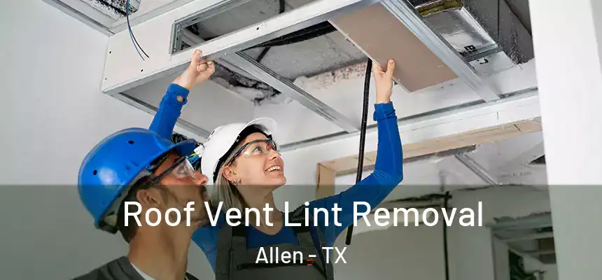 Roof Vent Lint Removal Allen - TX