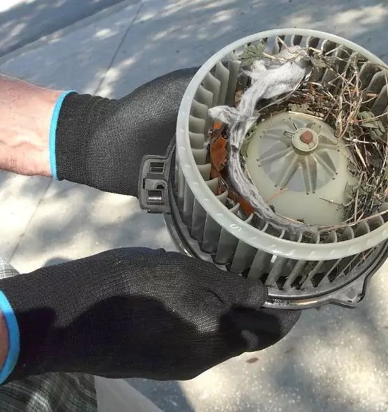 About Air Duct Mice Removal in Allen, TX