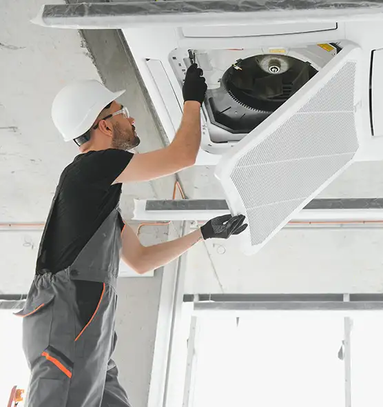 About Air Duct Rodent Removal in Allen, TX