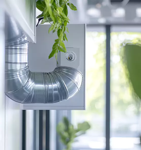 Professional Eco-Friendly Duct Cleaning Services in Allen, TX