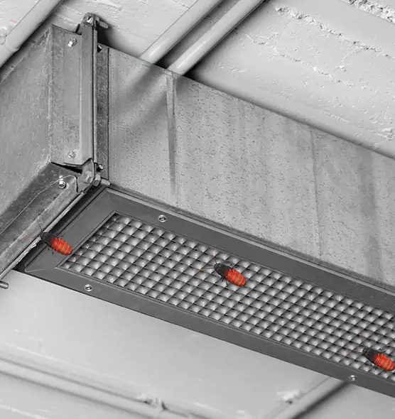Affordable Insect Removal from Air Ducts in Allen, TX