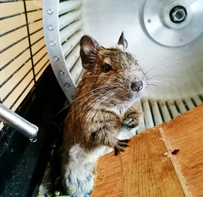 Why Homeowners & Businesses Trust Us Allen, TX?