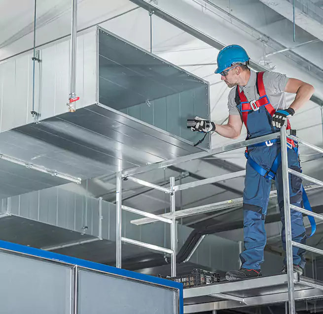 Why Homeowners & Businesses Trust Us in Allen, TX?