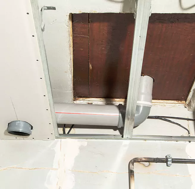 Why Homeowners & Businesses Trust Us in Allen, TX?