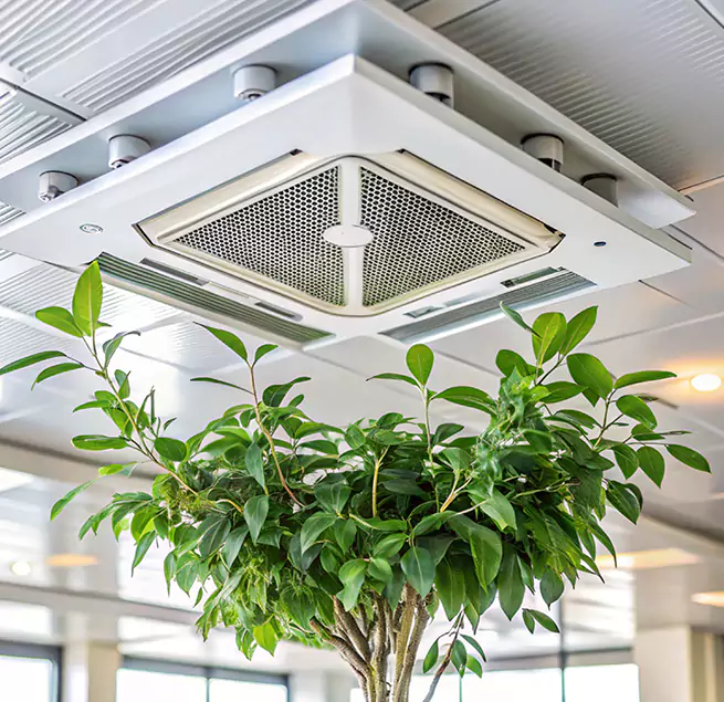 Why Homeowners & Businesses Trust Us in Allen, TX?