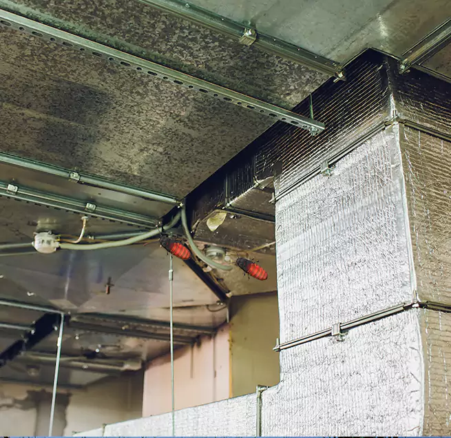 Why Homeowners & Businesses Trust Us Allen, TX?