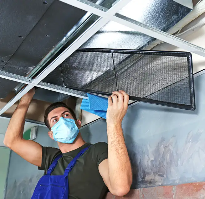 Why Homeowners & Businesses Trust Us in Allen, TX?