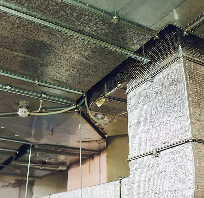 Why Homeowners & Businesses Trust Us in Allen, TX?